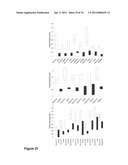 Methods And Compositions Related To Synergistic Responses To Oncogenic     Mutations diagram and image