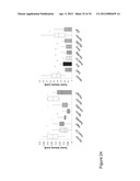 Methods And Compositions Related To Synergistic Responses To Oncogenic     Mutations diagram and image