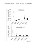 Methods And Compositions Related To Synergistic Responses To Oncogenic     Mutations diagram and image