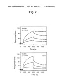 MODULATION OF ACTIVITY OF NEUROTROPHINS diagram and image