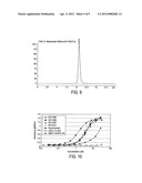 IL-13 BINDING PROTEIN diagram and image