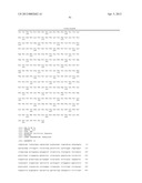 IL-13 BINDING PROTEIN diagram and image