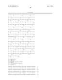 IL-13 BINDING PROTEIN diagram and image