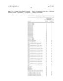 IL-13 BINDING PROTEIN diagram and image