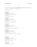 Superagonistic Anti-CD28 Antibodies diagram and image