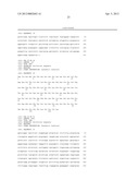 Superagonistic Anti-CD28 Antibodies diagram and image