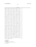 Superagonistic Anti-CD28 Antibodies diagram and image