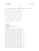 Superagonistic Anti-CD28 Antibodies diagram and image