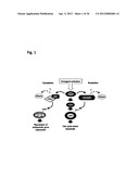 DIAGNOSIS AND TREATMENT OF CELL PROLIFERATION AND DIFFERENTIATION     DISORDERS BASED ON THE FMN2 GENE diagram and image