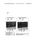 DIAGNOSIS AND TREATMENT OF CELL PROLIFERATION AND DIFFERENTIATION     DISORDERS BASED ON THE FMN2 GENE diagram and image