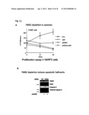 DIAGNOSIS AND TREATMENT OF CELL PROLIFERATION AND DIFFERENTIATION     DISORDERS BASED ON THE FMN2 GENE diagram and image