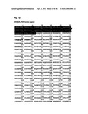 DIAGNOSIS AND TREATMENT OF CELL PROLIFERATION AND DIFFERENTIATION     DISORDERS BASED ON THE FMN2 GENE diagram and image