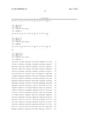 DIAGNOSIS AND TREATMENT OF CELL PROLIFERATION AND DIFFERENTIATION     DISORDERS BASED ON THE FMN2 GENE diagram and image