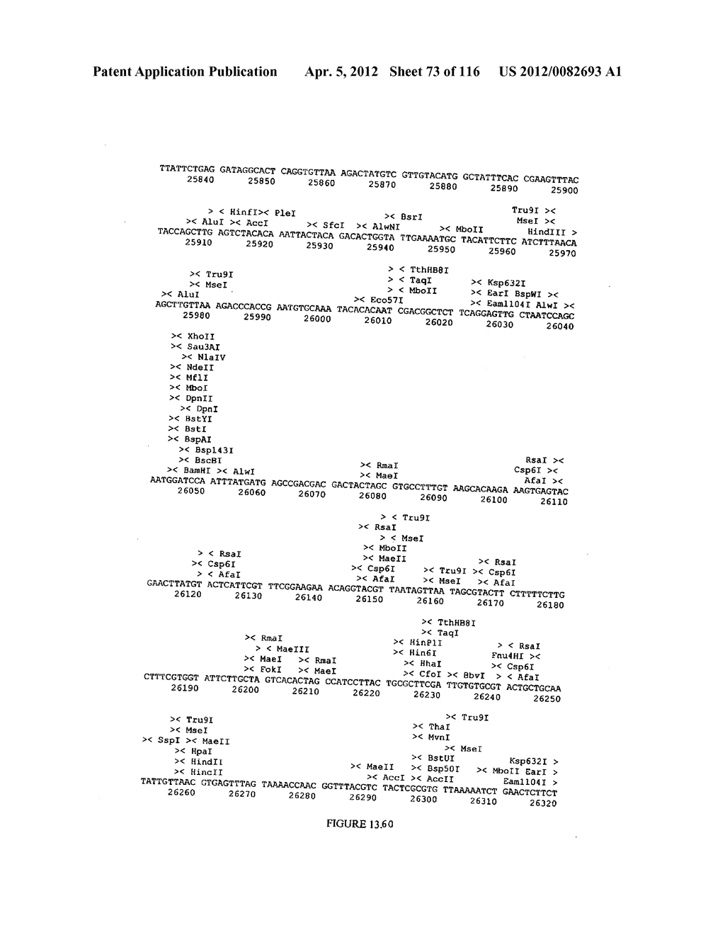 USE OF PROTEINS AND PEPTIDES ENCODED BY THE GENOME OF A NOVEL     SARS-ASSOCIATED CORONAVIRUS STRAIN - diagram, schematic, and image 74