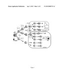 Compositions For Treating Chronic Viral Infections diagram and image