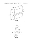 SYSTEMS AND METHODS FOR INTRA-ORAL DRUG DELIVERY diagram and image