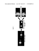 Cell Analysis On Microfluidic Chips diagram and image