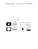 Cell Analysis On Microfluidic Chips diagram and image