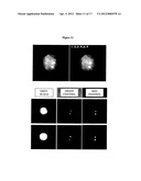 Cell Analysis On Microfluidic Chips diagram and image