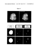 Cell Analysis On Microfluidic Chips diagram and image