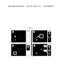 Cell Analysis On Microfluidic Chips diagram and image