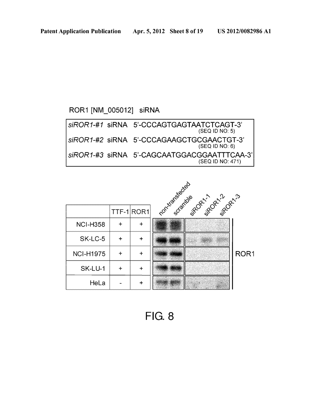 CELL PROLIFERATION INHIBITOR - diagram, schematic, and image 09