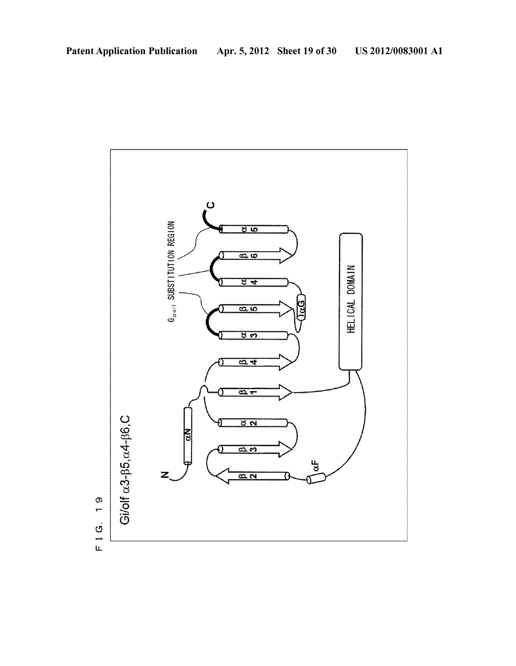 METHOD FOR TRANSPORTING POTASSIUM IONS FROM FRONT SIDE TO BACK SIDE OF     LIPID BILAYER MEMBRANE - diagram, schematic, and image 20