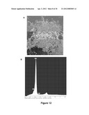 METHODS FOR IN VITRO CANCER CELL DETECTION, DIAGNOSIS AND THERAPY USING     MULTIDOMAIN BIOTAGS diagram and image