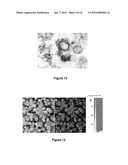 METHODS FOR IN VITRO CANCER CELL DETECTION, DIAGNOSIS AND THERAPY USING     MULTIDOMAIN BIOTAGS diagram and image