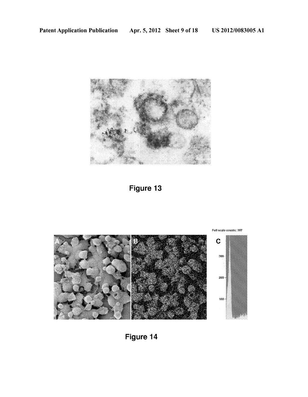 METHODS FOR IN VITRO CANCER CELL DETECTION, DIAGNOSIS AND THERAPY USING     MULTIDOMAIN BIOTAGS - diagram, schematic, and image 10