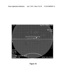 METHODS FOR IN VITRO CANCER CELL DETECTION, DIAGNOSIS AND THERAPY USING     MULTIDOMAIN BIOTAGS diagram and image