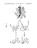 Methods for obtaining molecules with reduced immunogenicity diagram and image