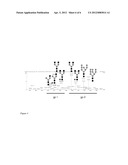 Nicotiana Benthamiana Plants Deficient in Xylosyltransferase Activity diagram and image