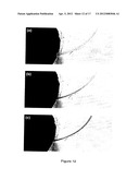 HYBRID DIGITAL AND CHANNEL MICROFLUIDIC DEVICES AND METHODS OF USE THEREOF diagram and image