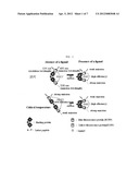 METHOD FOR DETECTING LIGAND USING FRET BIOSENSOR diagram and image