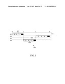 OPPORTUNISTIC SPECTRUM ACCESS IN MOBILE COGNITIVE RADIO NETWORKS diagram and image