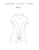 Volleyball Instructional Apparatus diagram and image