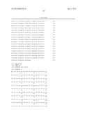 COMPOSITIONS AND METHODS FOR THE TREATMENT OF IMMUNE RELATED DISEASES diagram and image