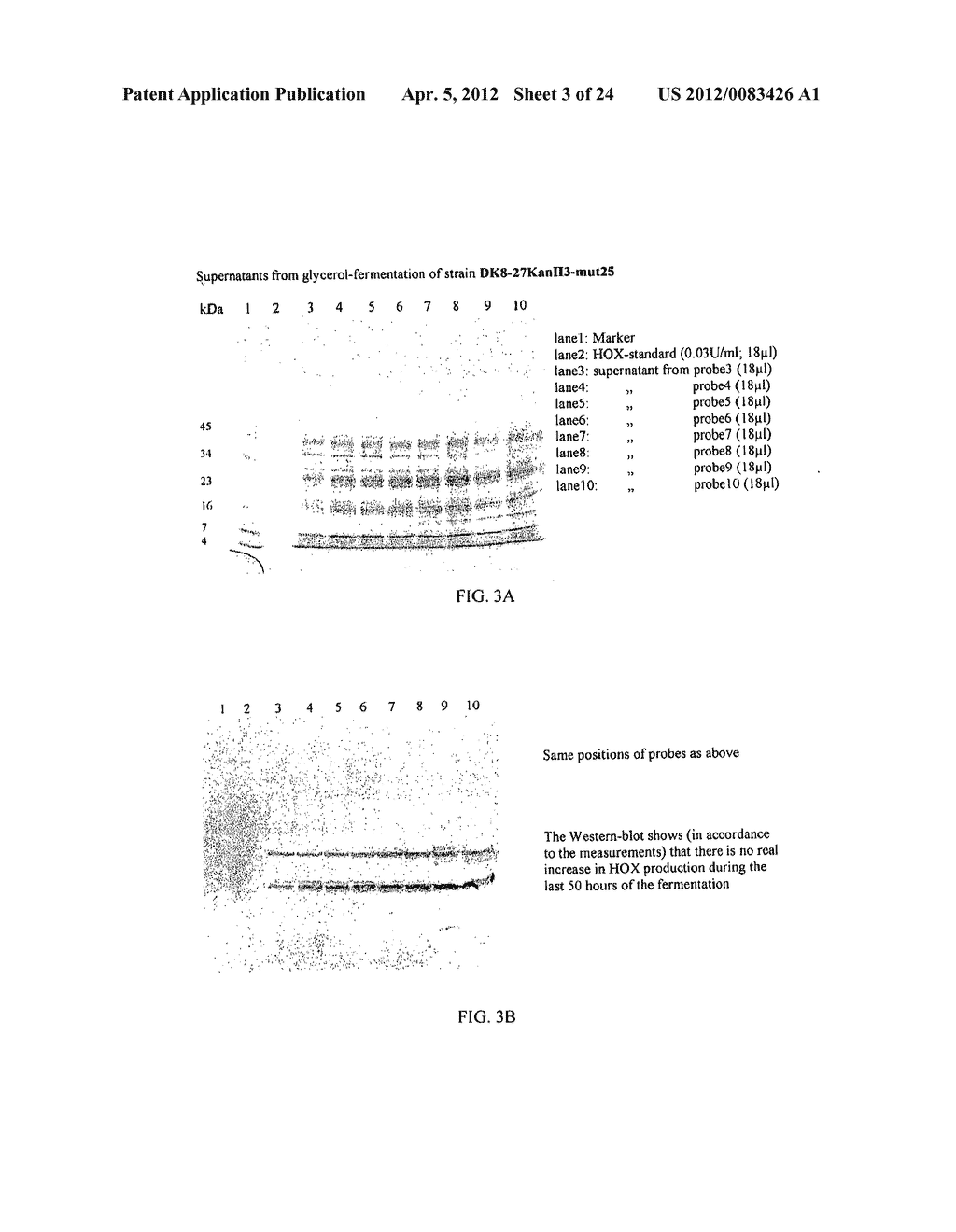 METHOD - diagram, schematic, and image 04