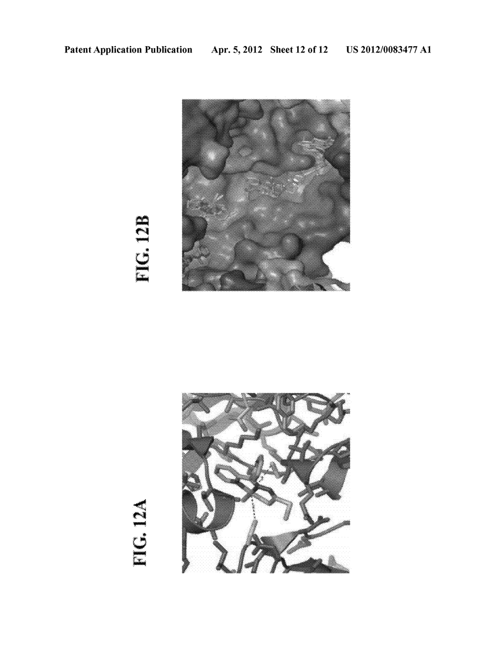 PROTEASOME INHIBITORS AND USES THEREOF - diagram, schematic, and image 13