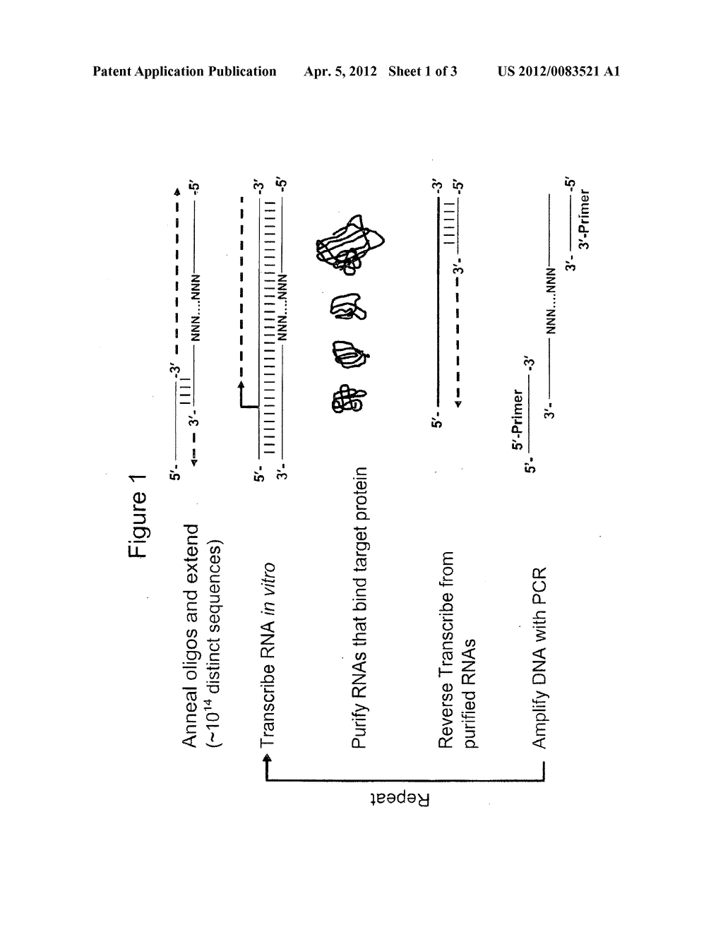 Aptamers as agonists - diagram, schematic, and image 02