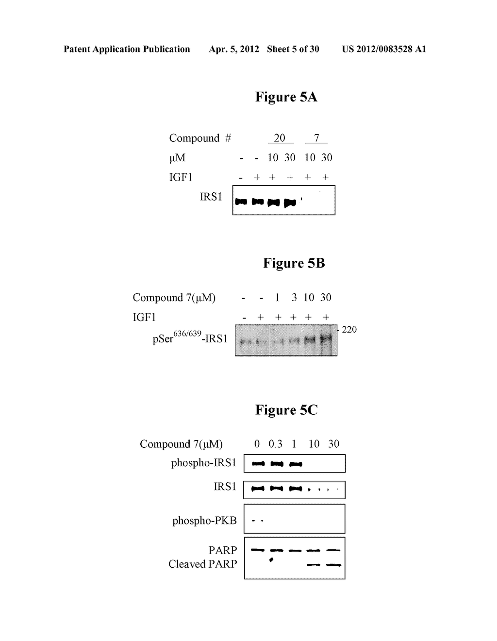 NOVEL PROTEIN KINASE MODULATORS AND THERAPEUTIC USES THEREOF - diagram, schematic, and image 06