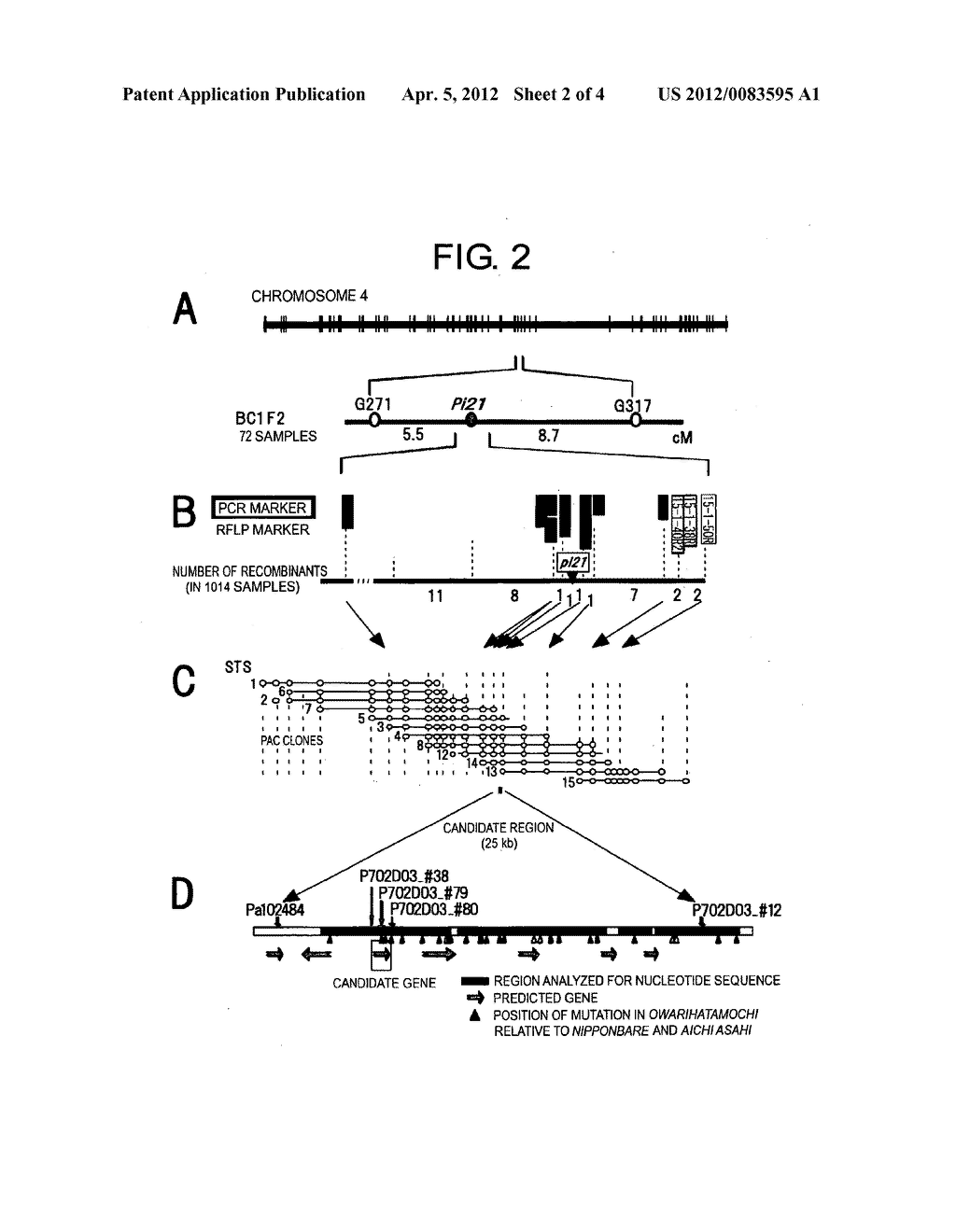 RICE BLAST SUSCEPTIBILITY GENE Pi21, RESISTANCE GENE pi21, AND USES     THEREOF - diagram, schematic, and image 03