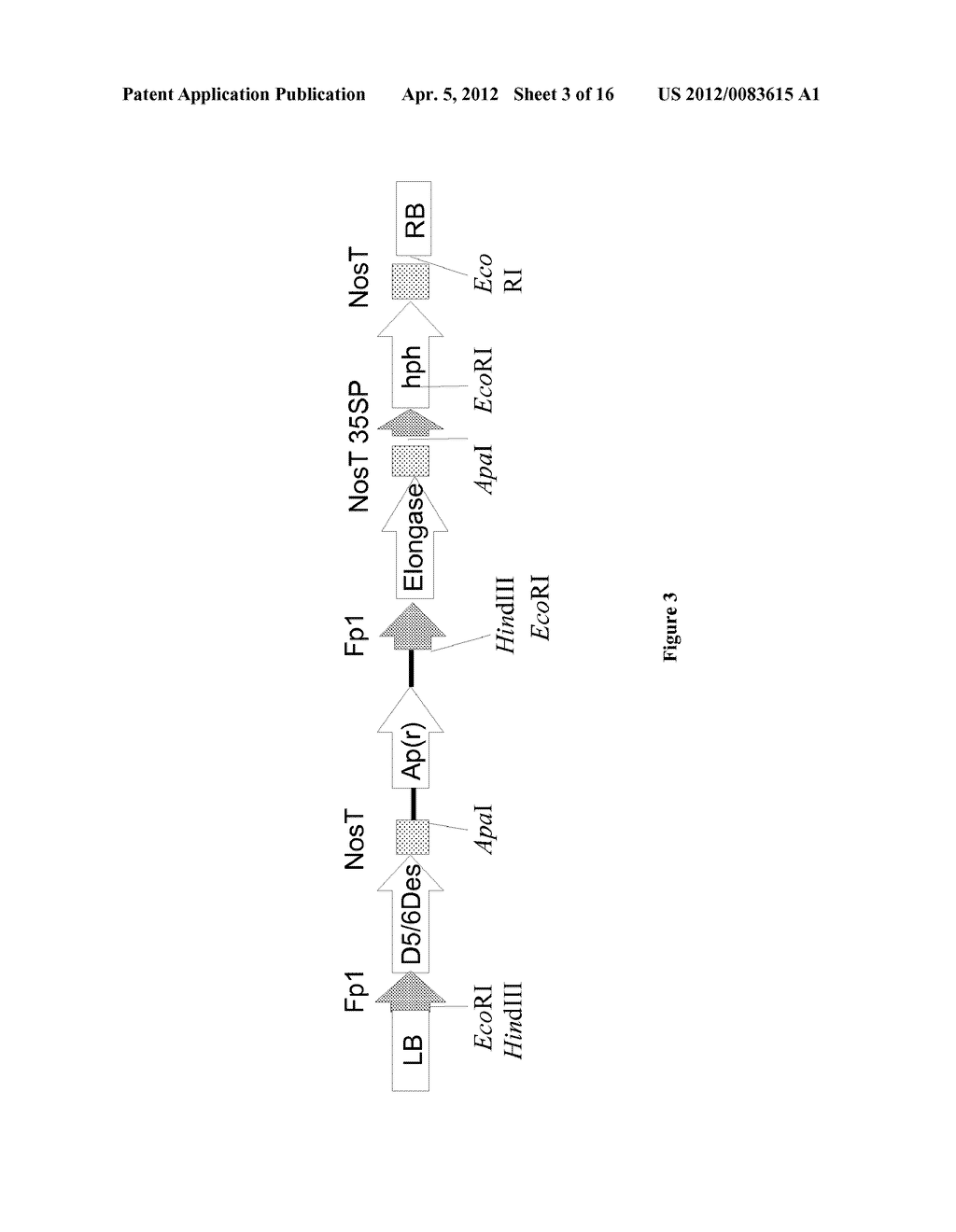 SYNTHESIS OF LONG-CHAIN POLYUNSATURATED FATTY ACIDS BY RECOMBINANT CELLS - diagram, schematic, and image 04