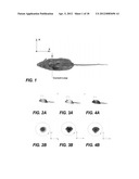 SYSTEM AND METHOD FOR ELECTROMAGNETIC IMAGING AND THERAPEUTICS USING     SPECIALIZED NANOPARTICLES diagram and image