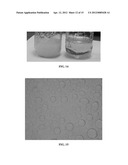 EMULSION, APPARATUS, SYSTEM AND METHOD FOR DYNAMIC PREPARATION diagram and image