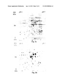 Electrophoresis Separation Methods diagram and image