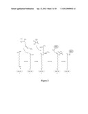 MODIFIED METAL SURFACE AND METHOD FOR PREPARING THE SAME USING AN     ELECTROCHEMICAL PROCESS diagram and image