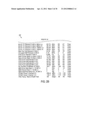 SYSTEMS AND METHODS OF TESTING ACTIVE DIGITAL RADIO ANTENNAS diagram and image