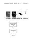 Displays for Electronic Devices that Detect and Respond to the Contour     and/or Height Profile of User Input Objects diagram and image